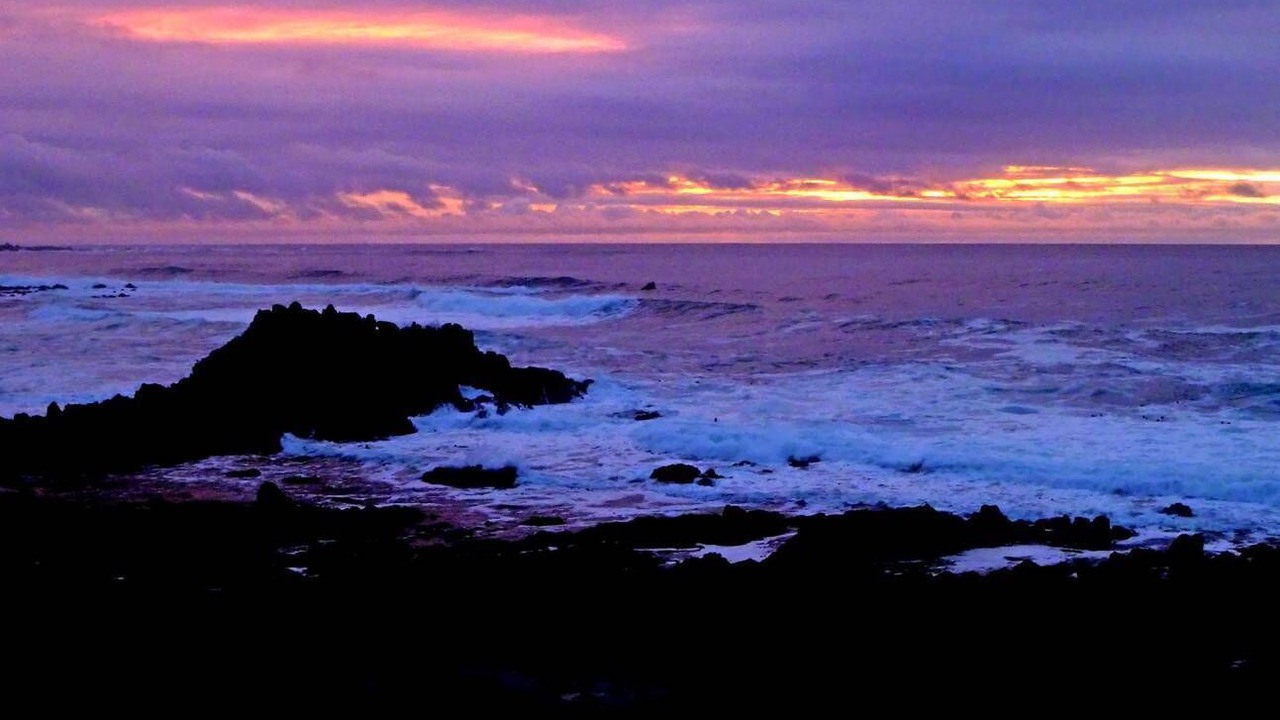 Photo of Others in Pacific Grove