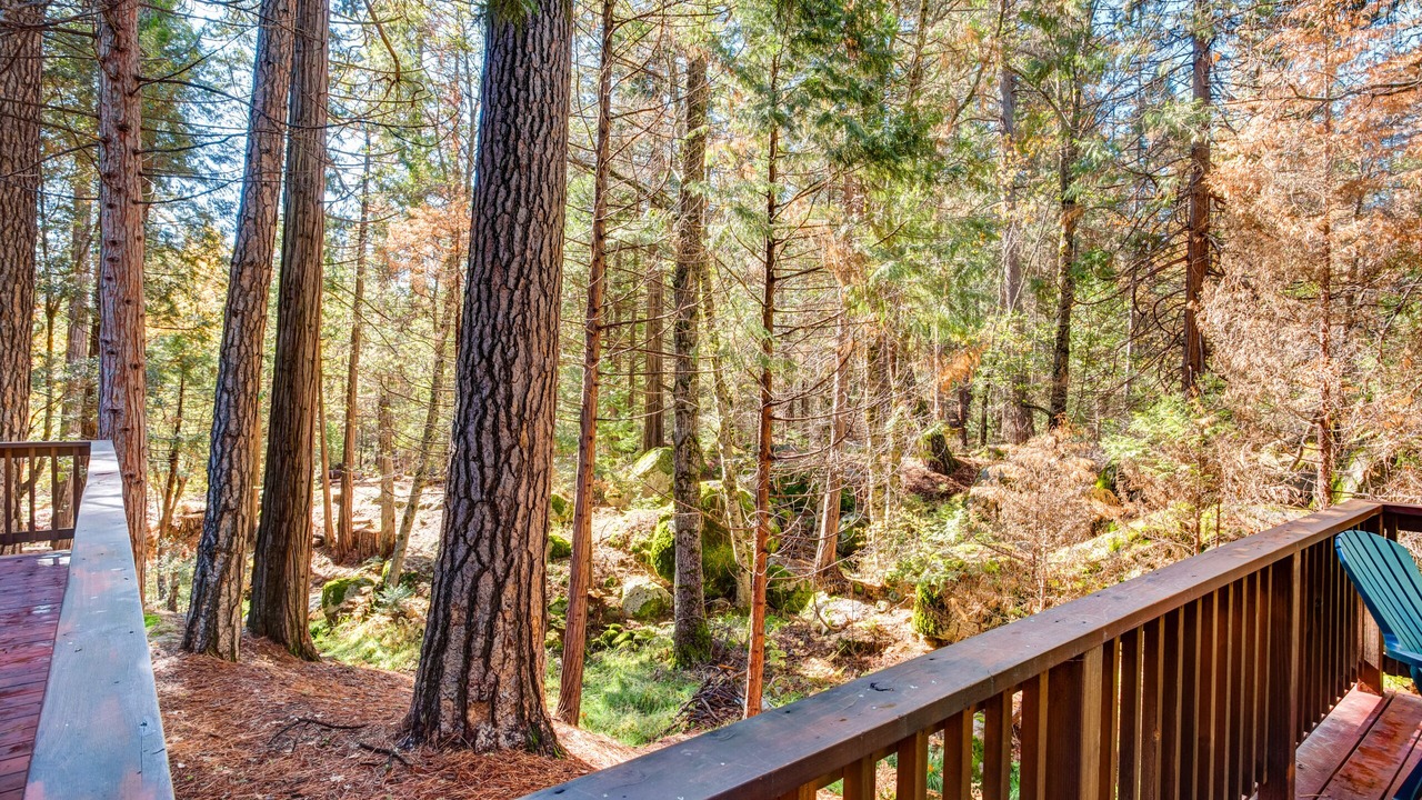 Photo of Others in North Wawona