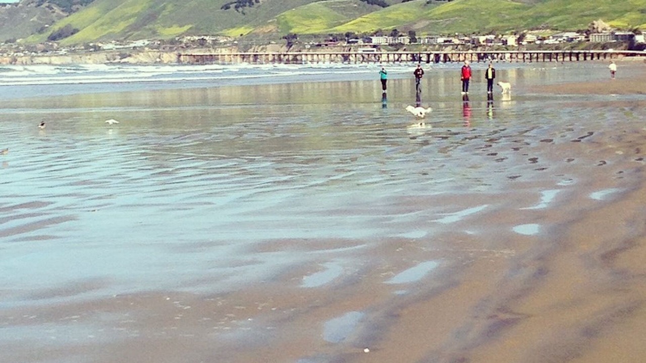 Photo of Others in Shell Beach