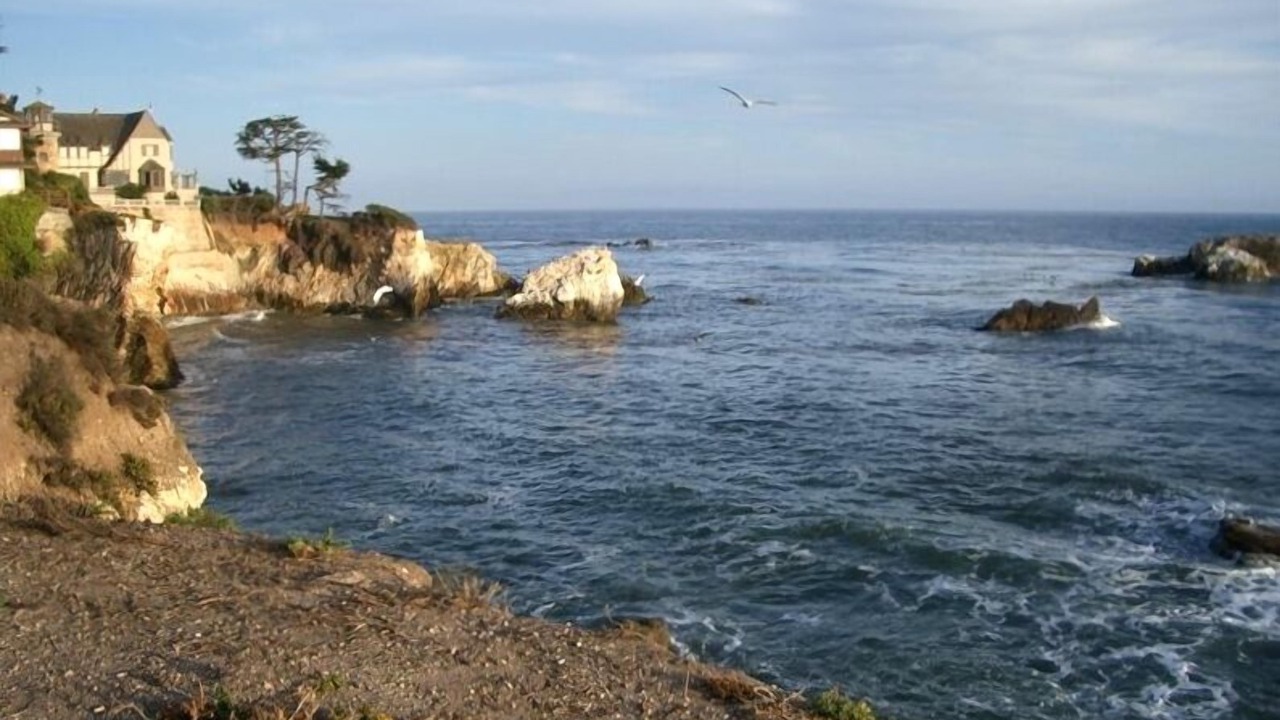 Photo of Others in Shell Beach