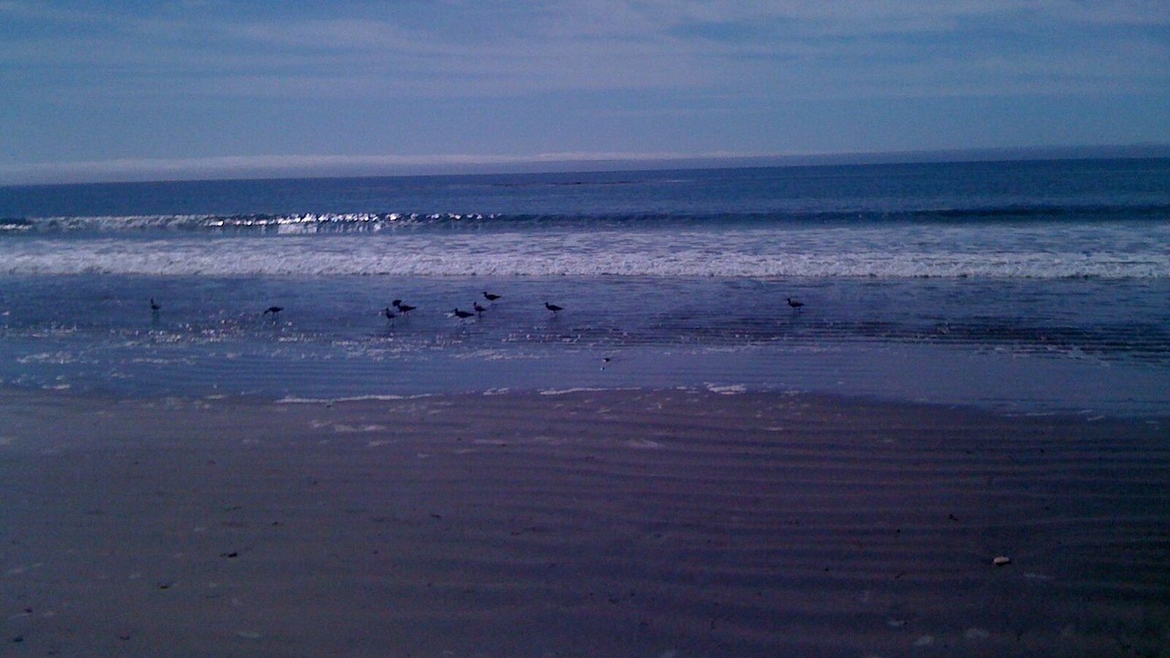 Photo of Others in Templeton