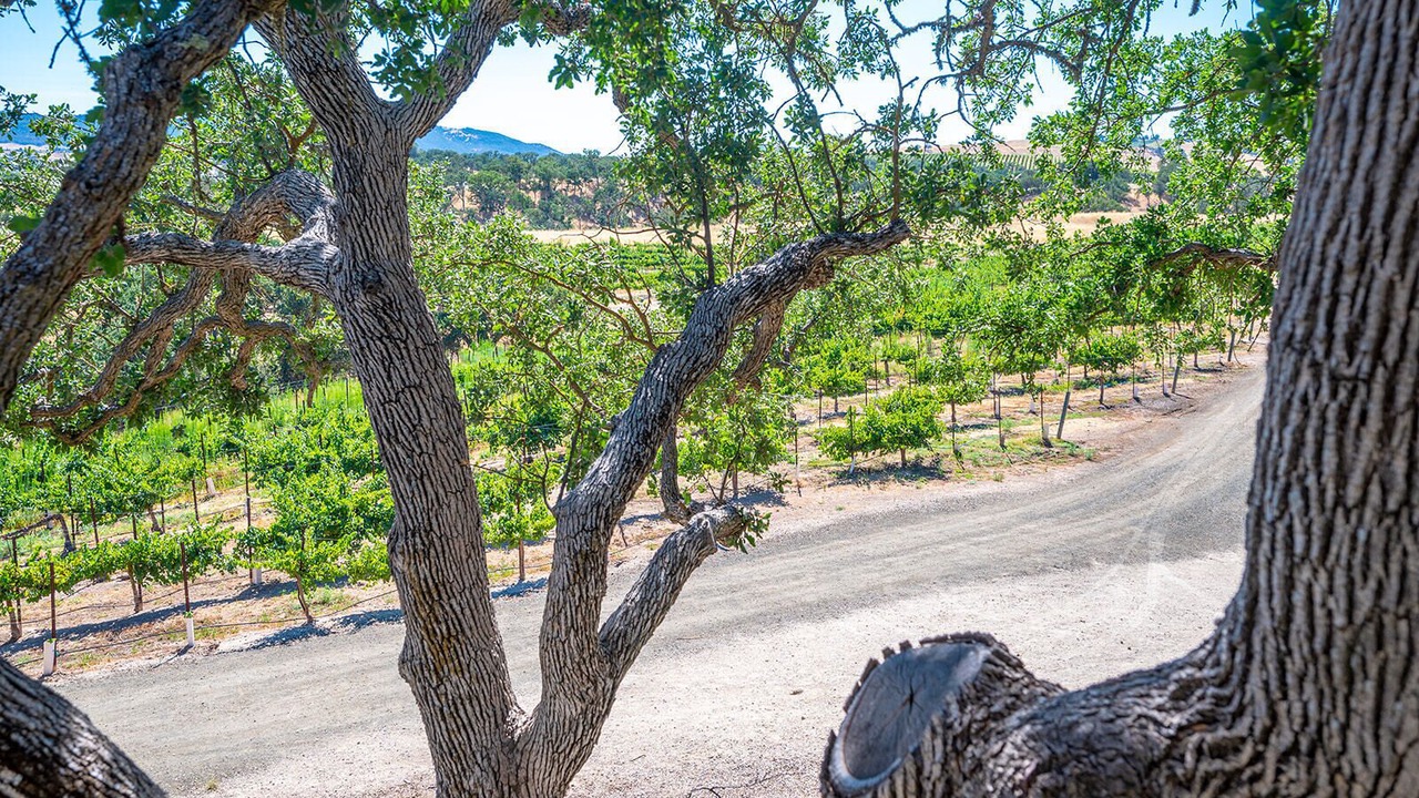 Photo of Outdoor in Paso Robles