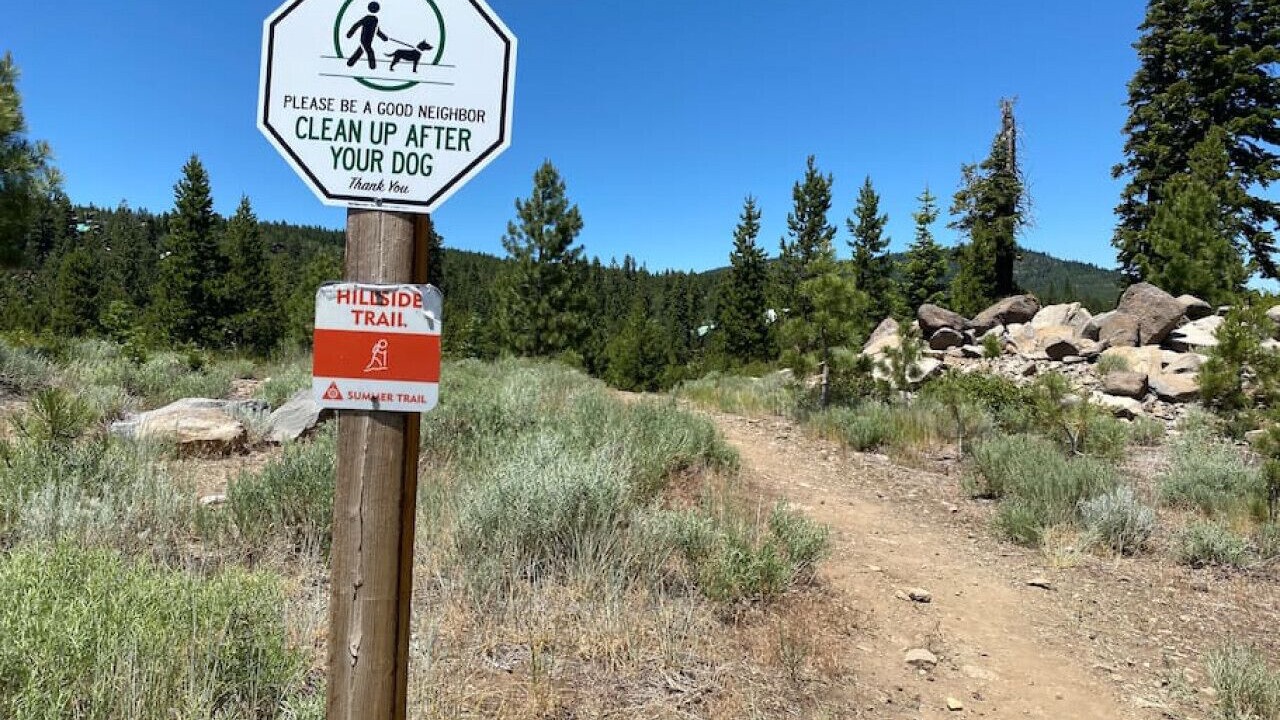 Photo of Others in Truckee