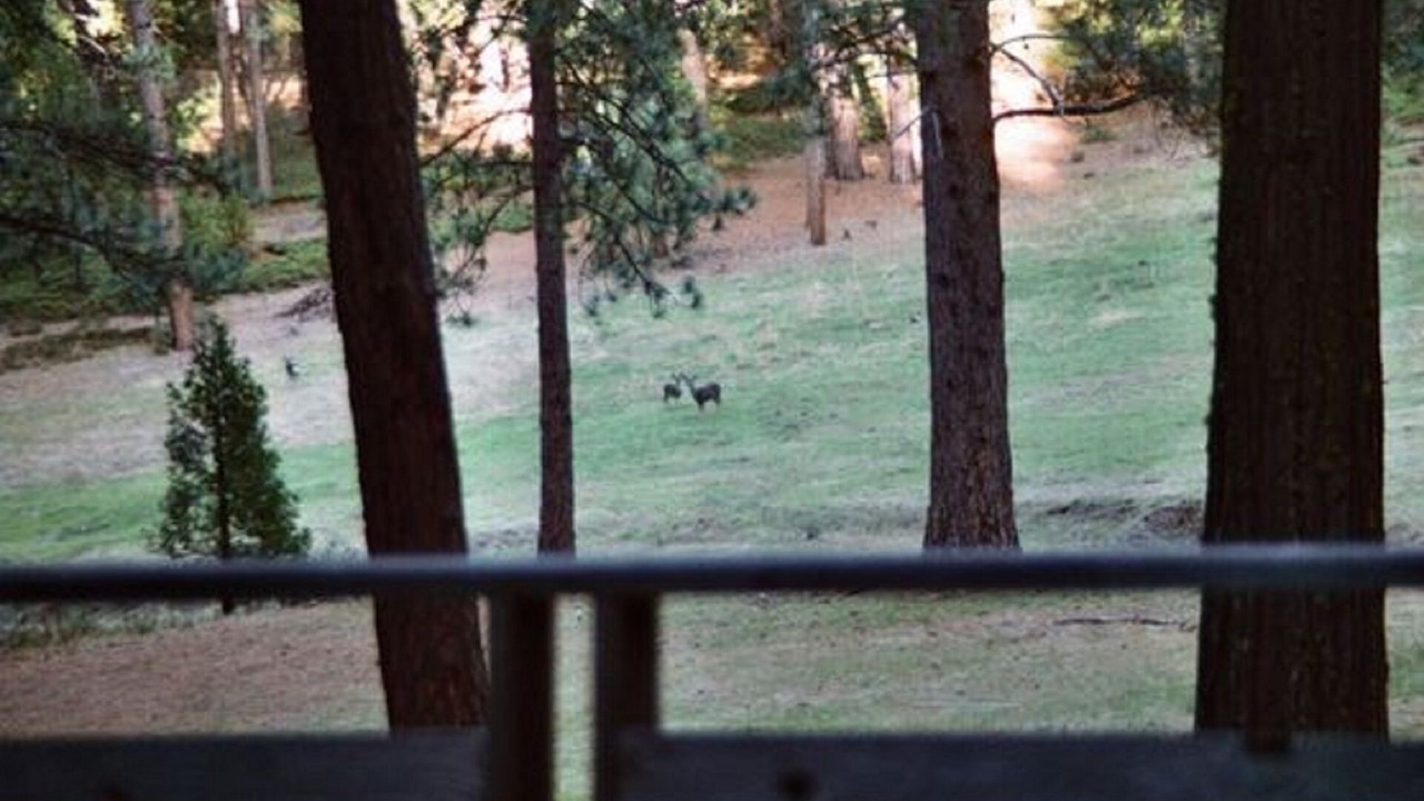 Photo of Outdoor in Groveland