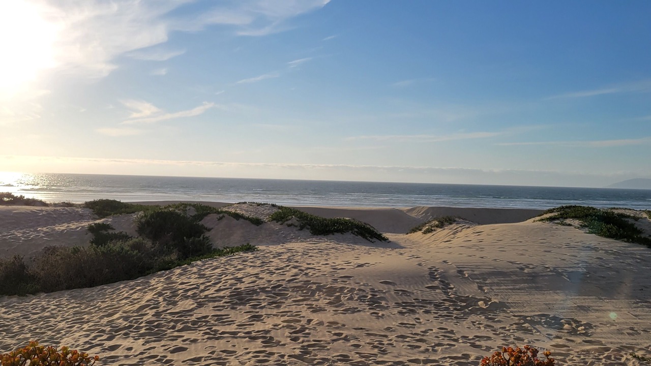 Photo of Others in Oceano