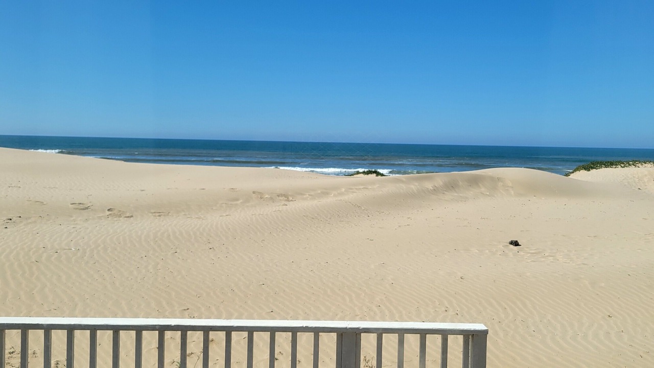 Photo of Others in Oceano