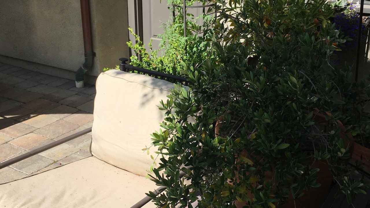 Photo of Bathroom in Willow Glen
