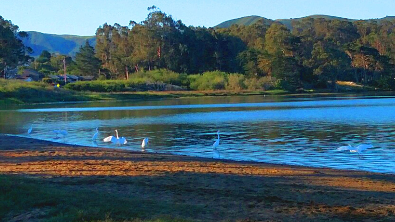 Photo of Others in Baywood-Los Osos