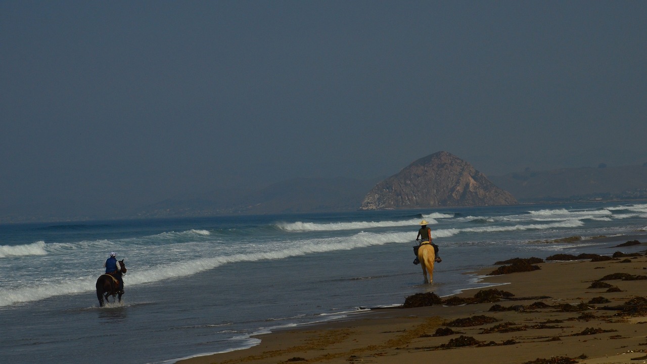 Photo of Others in Baywood-Los Osos