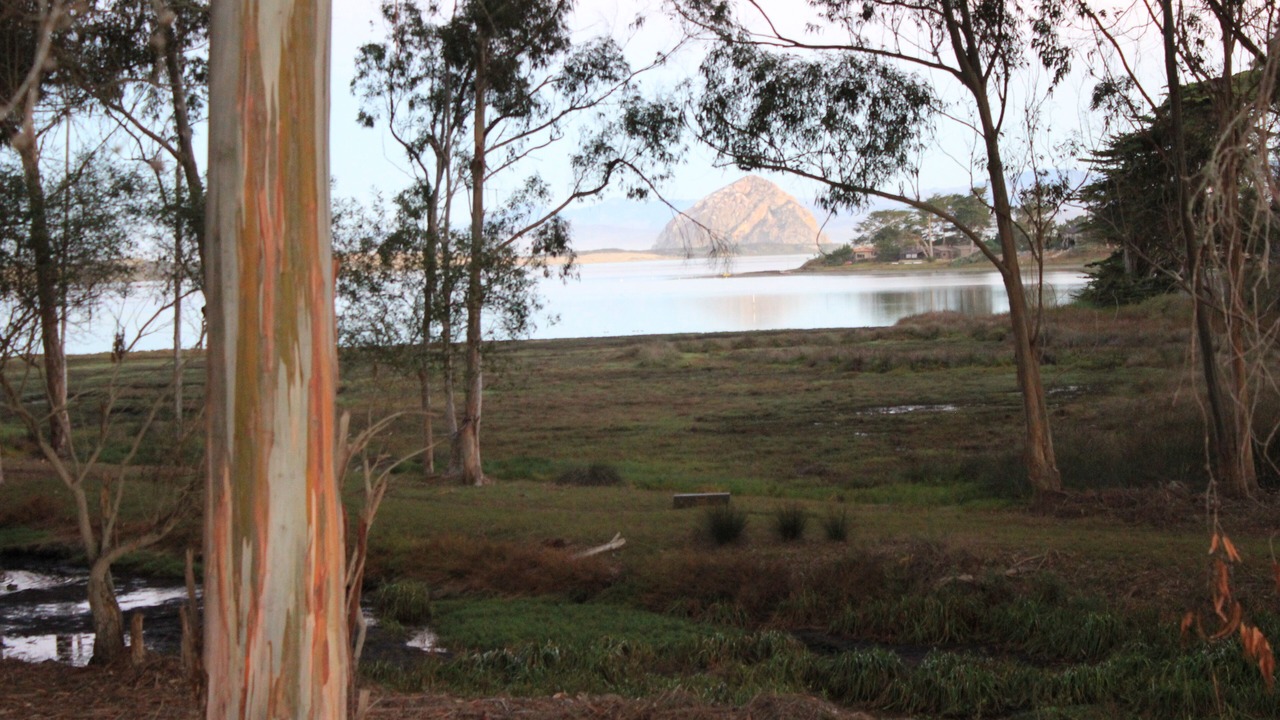 Photo of Others in Baywood-Los Osos
