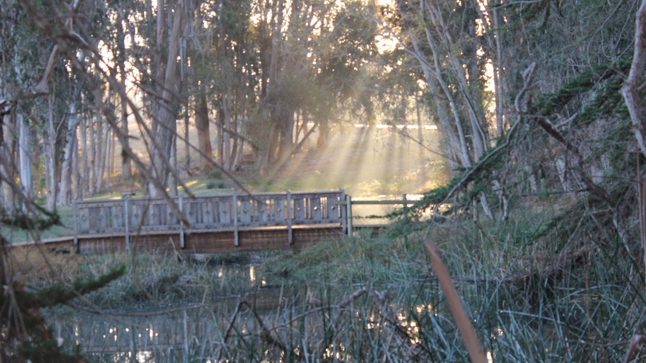 Photo of Others in Baywood-Los Osos