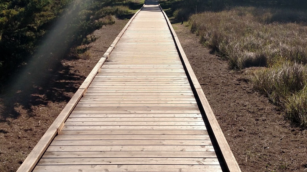 Photo of Others in Baywood-Los Osos