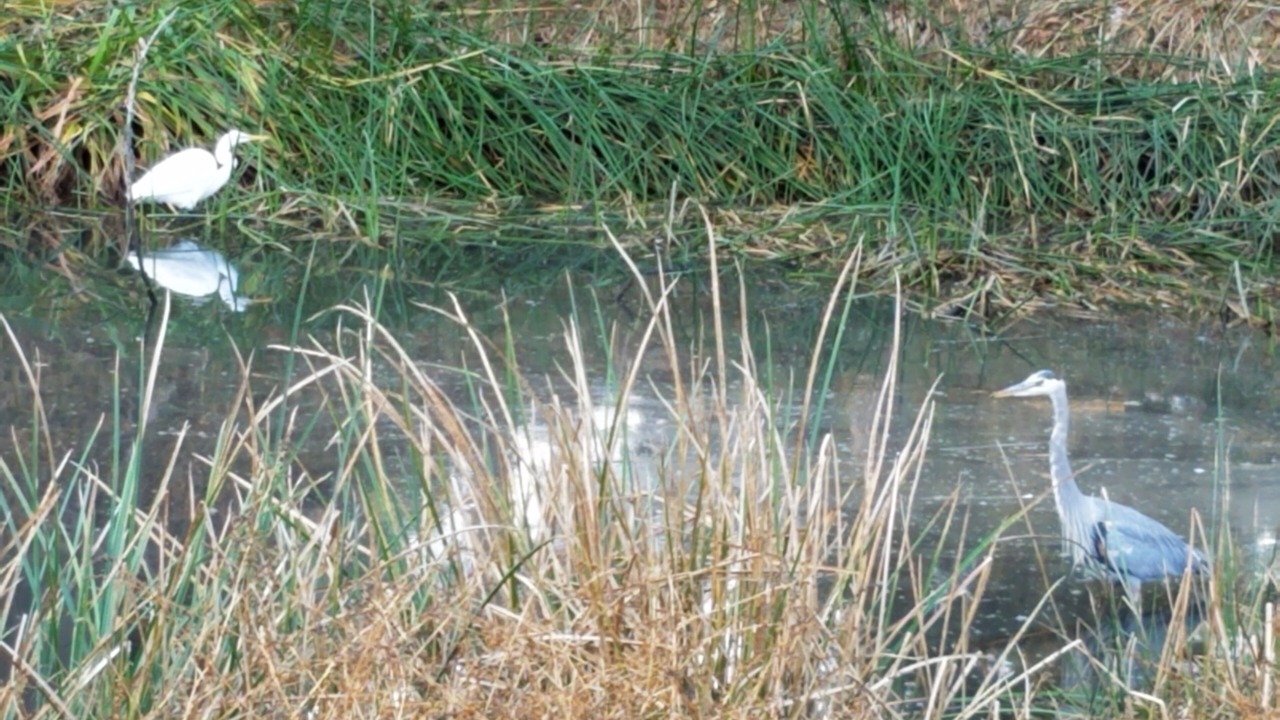 Photo of Others in Baywood-Los Osos