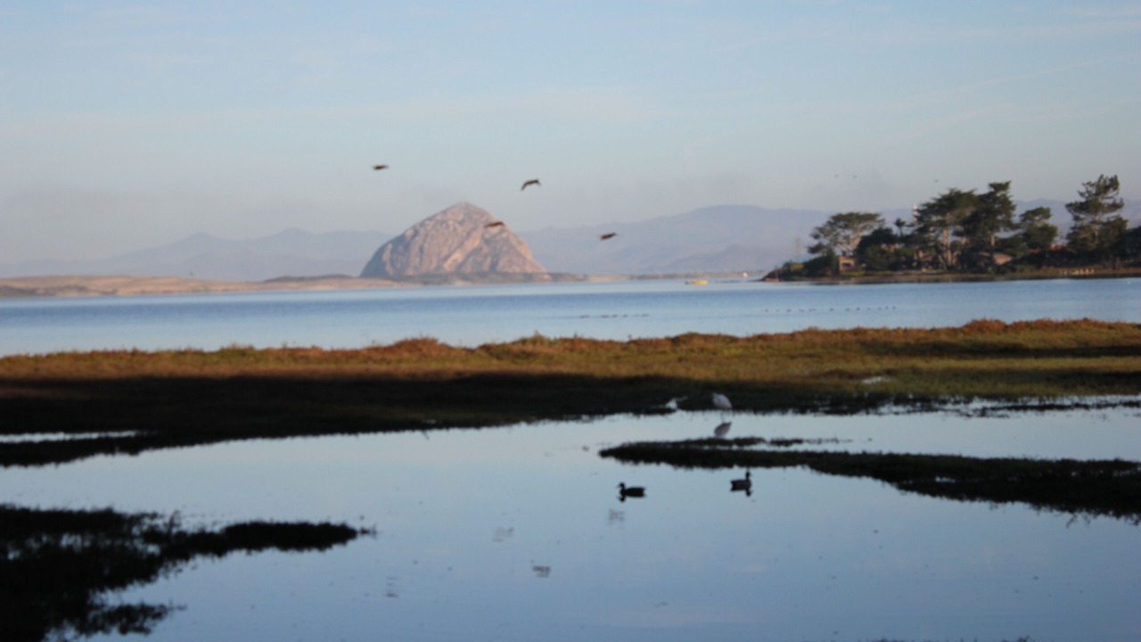 Photo of Others in Baywood-Los Osos