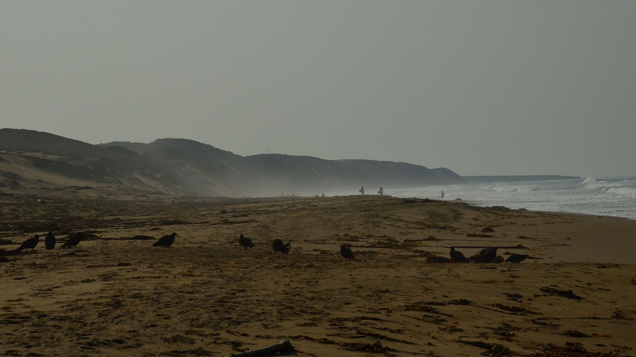Photo of Others in Baywood-Los Osos