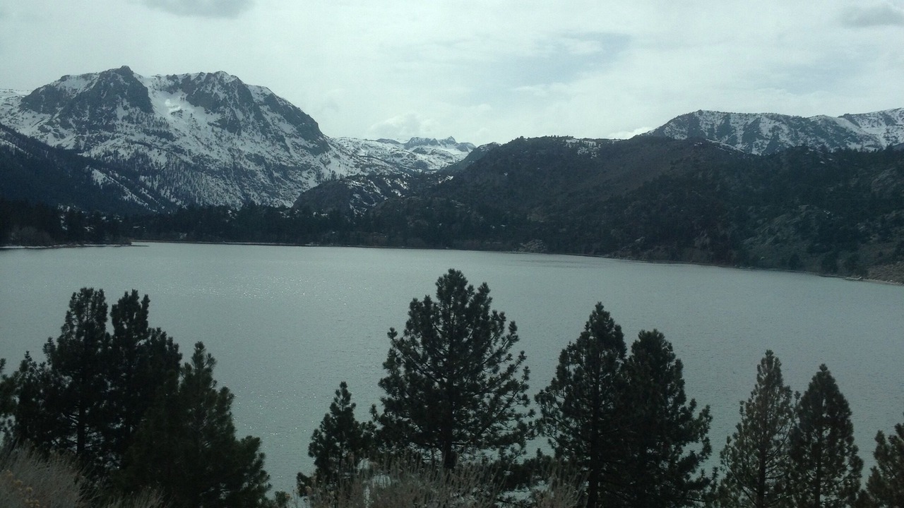Photo of Others in June Lake