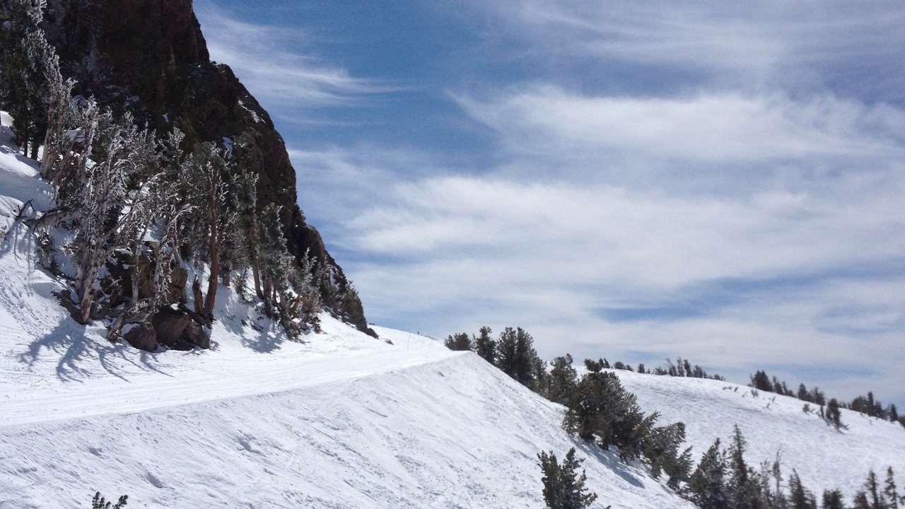 Photo of Others in June Lake