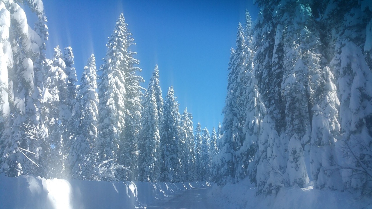 Photo of Others in Cold Springs