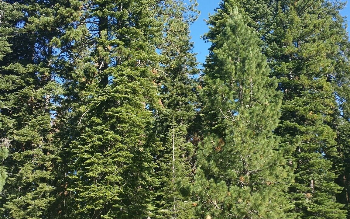 Photo of Others in Cold Springs
