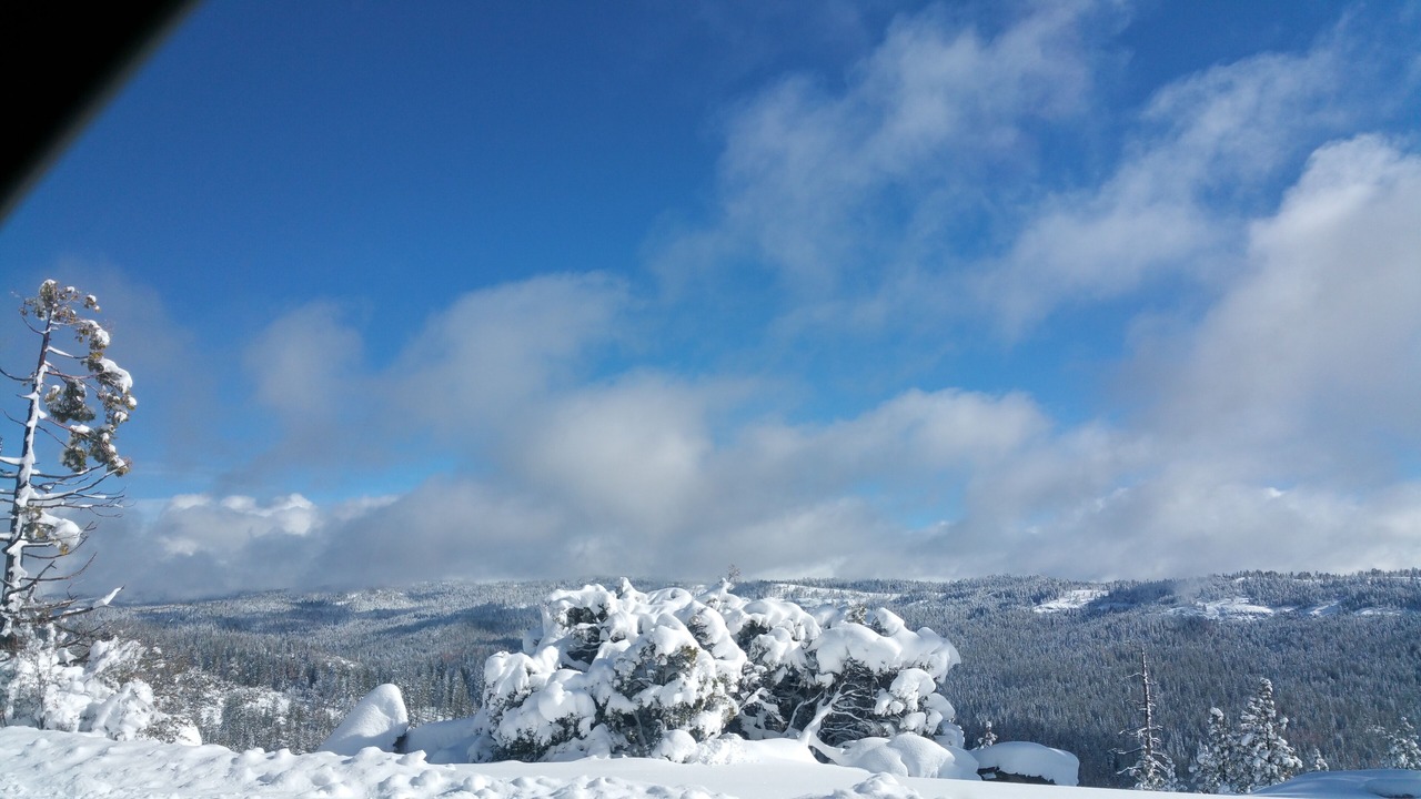 Photo of Others in Cold Springs