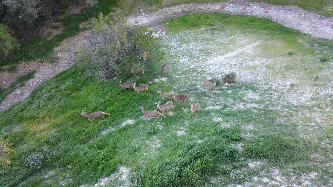 Photo of Others in Paso Robles