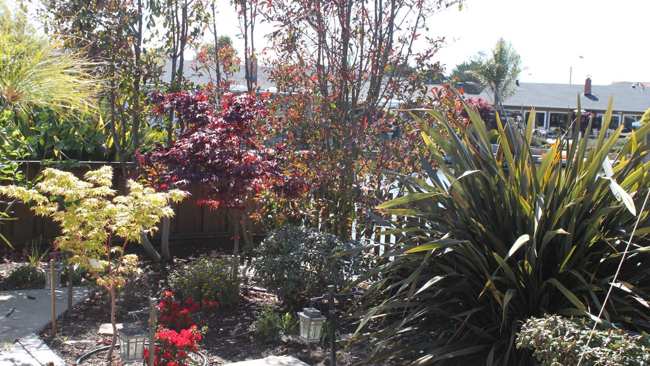 Photo of Outdoor in Gold Coast