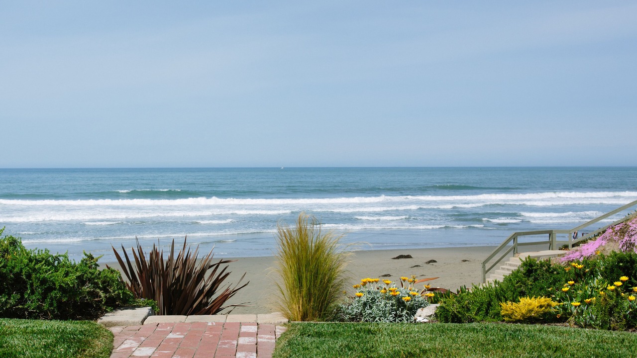 Photo of Others in Cayucos