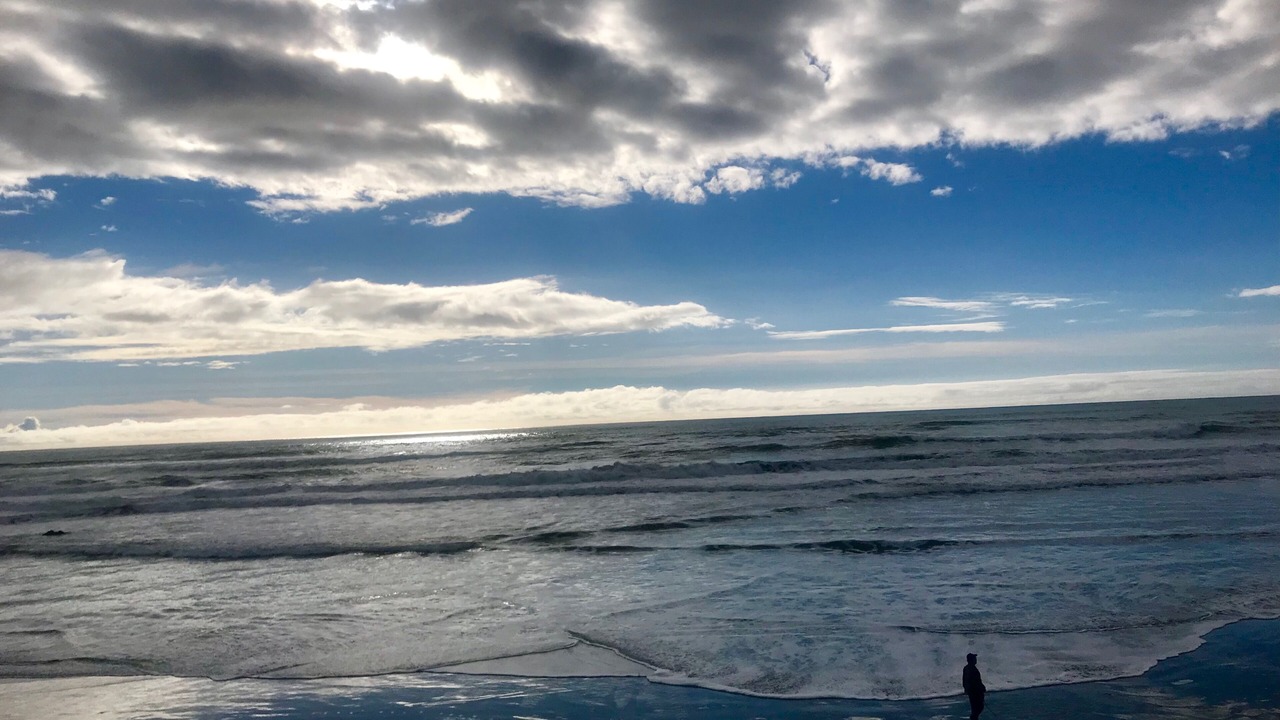 Photo of Others in Cayucos