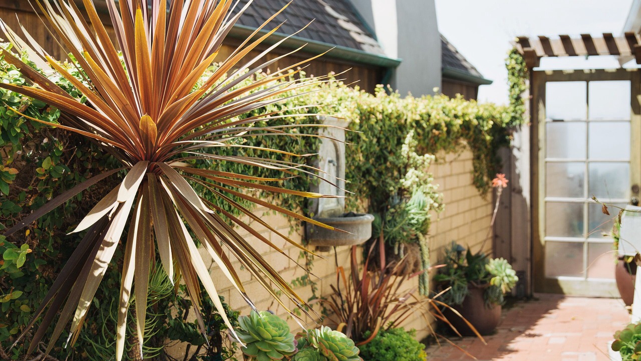 Photo of Outdoor in Cayucos