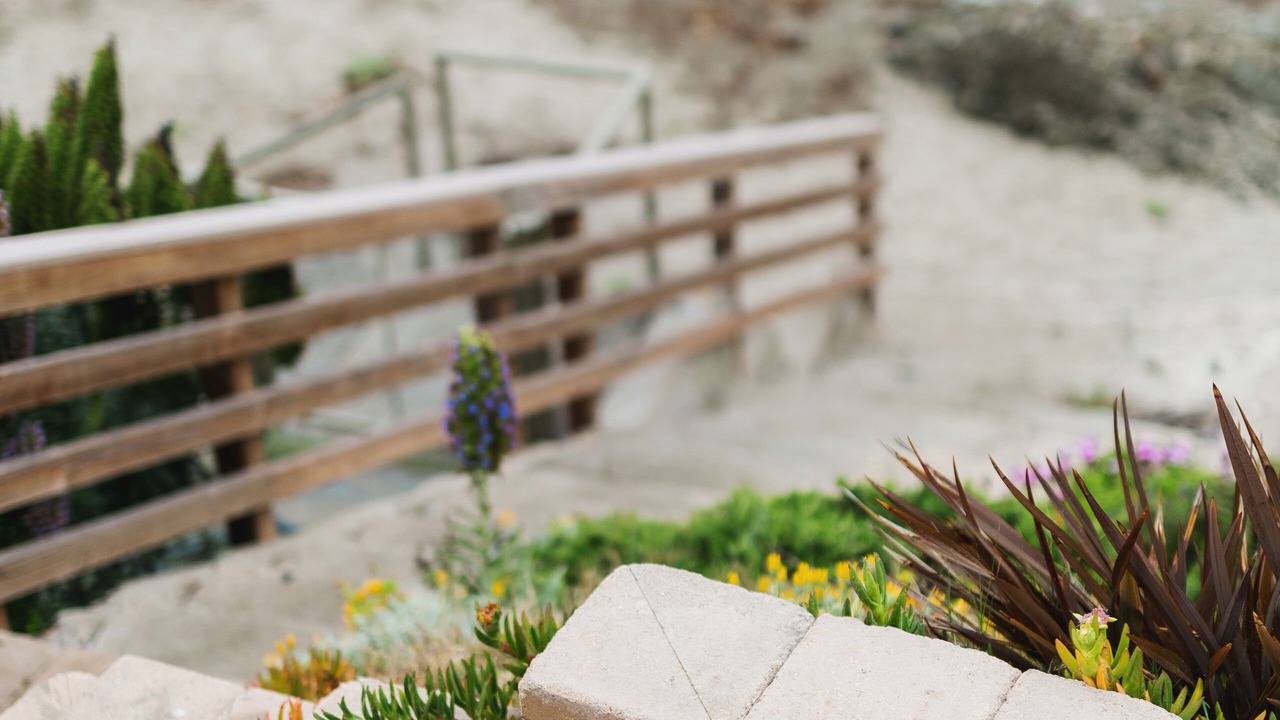 Photo of Others in Cayucos