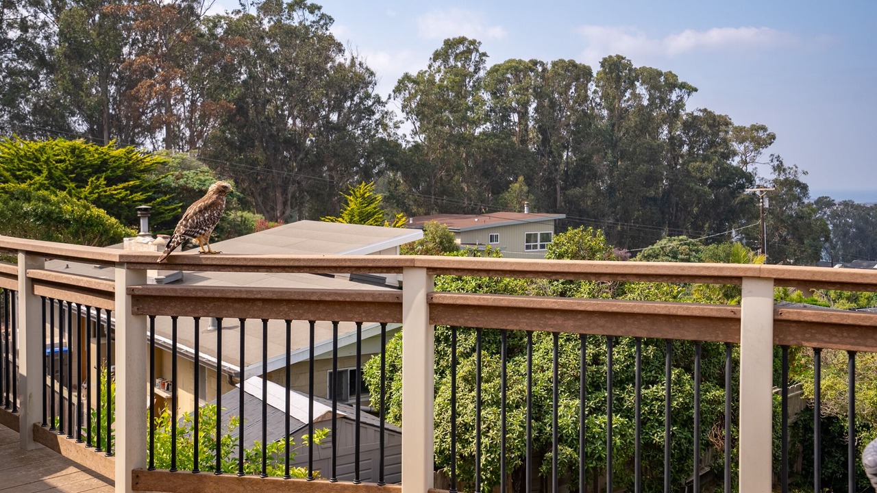 Photo of Outdoor in Morro Bay