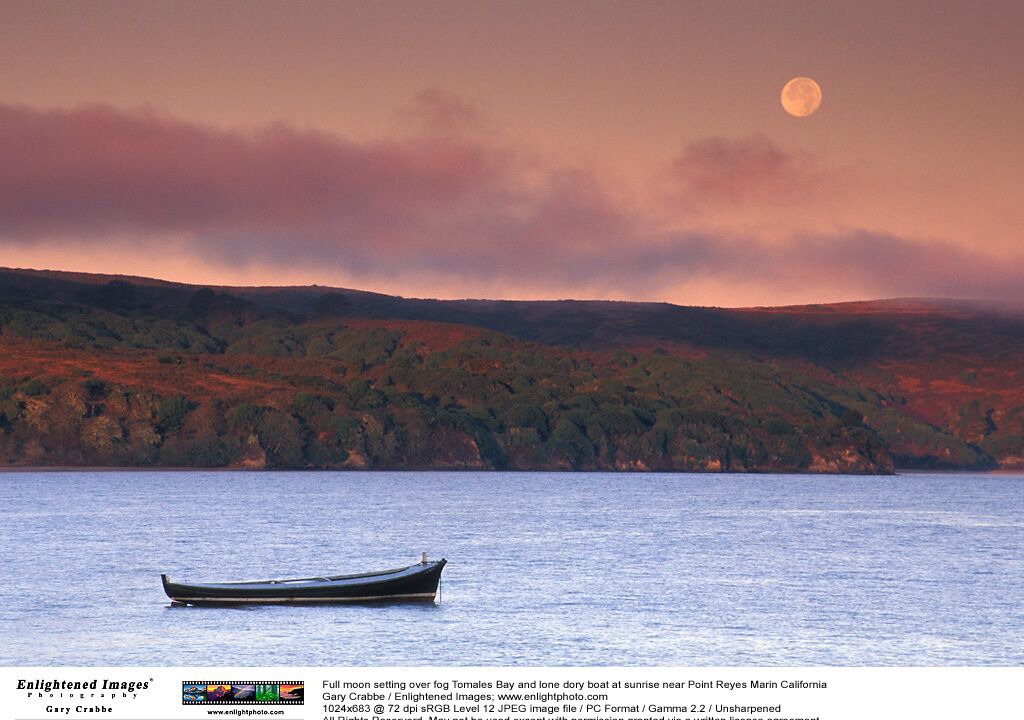 Photo of Others in Bodega Bay
