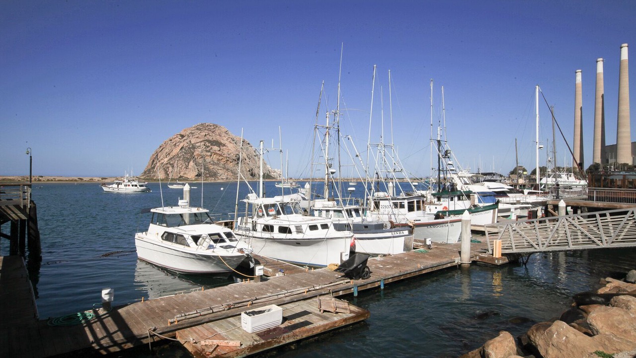 Photo of Others in Morro Bay