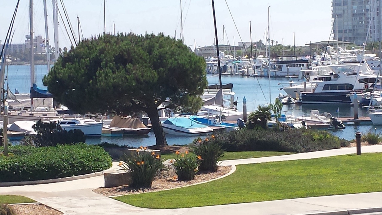 Photo of Others in Coronado