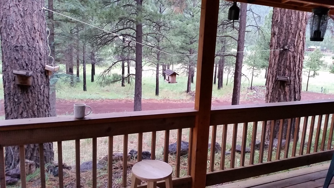 Photo of Others in Greer