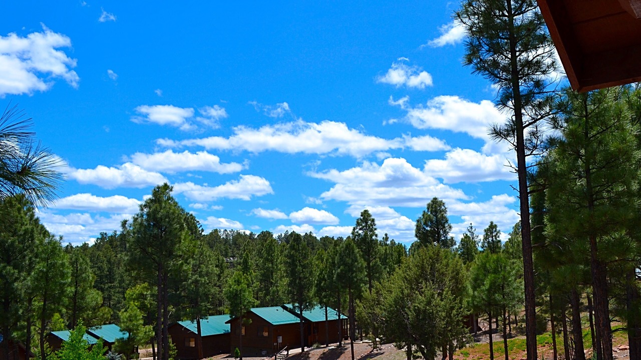 Photo of Outdoor in Show Low