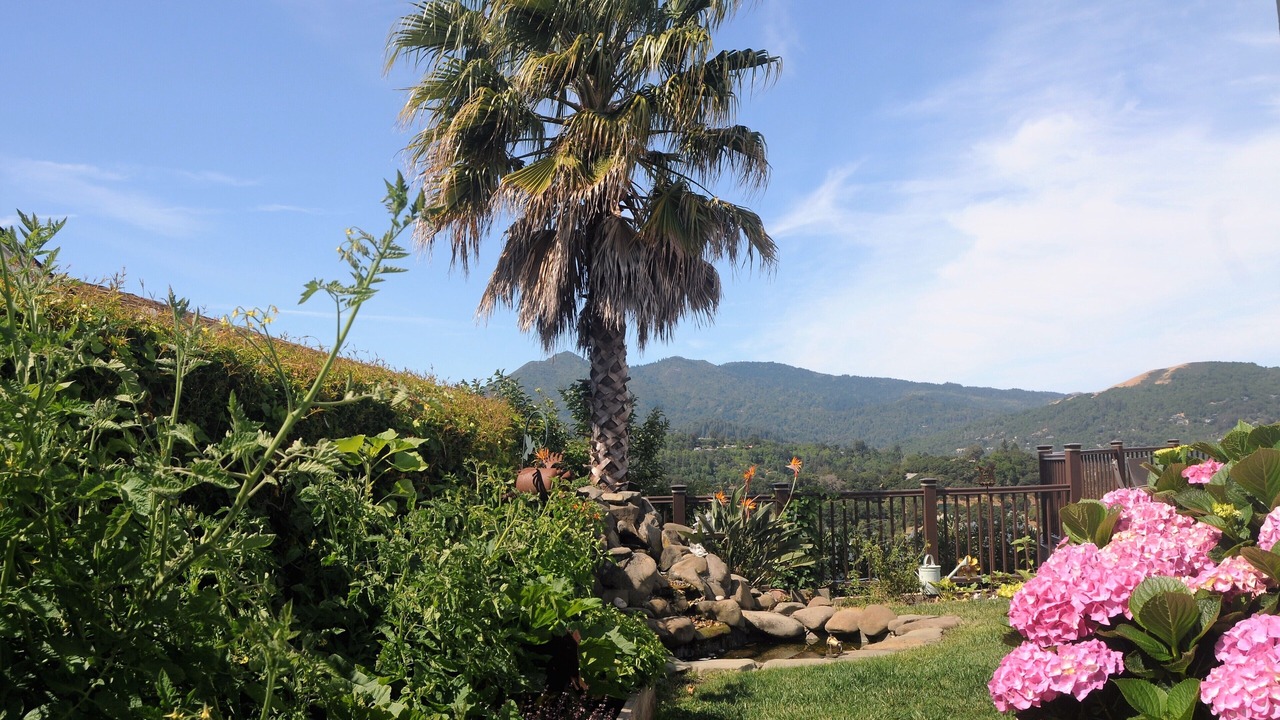 Photo of Others in San Rafael