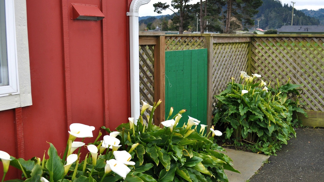 Photo of Outdoor in Ferndale