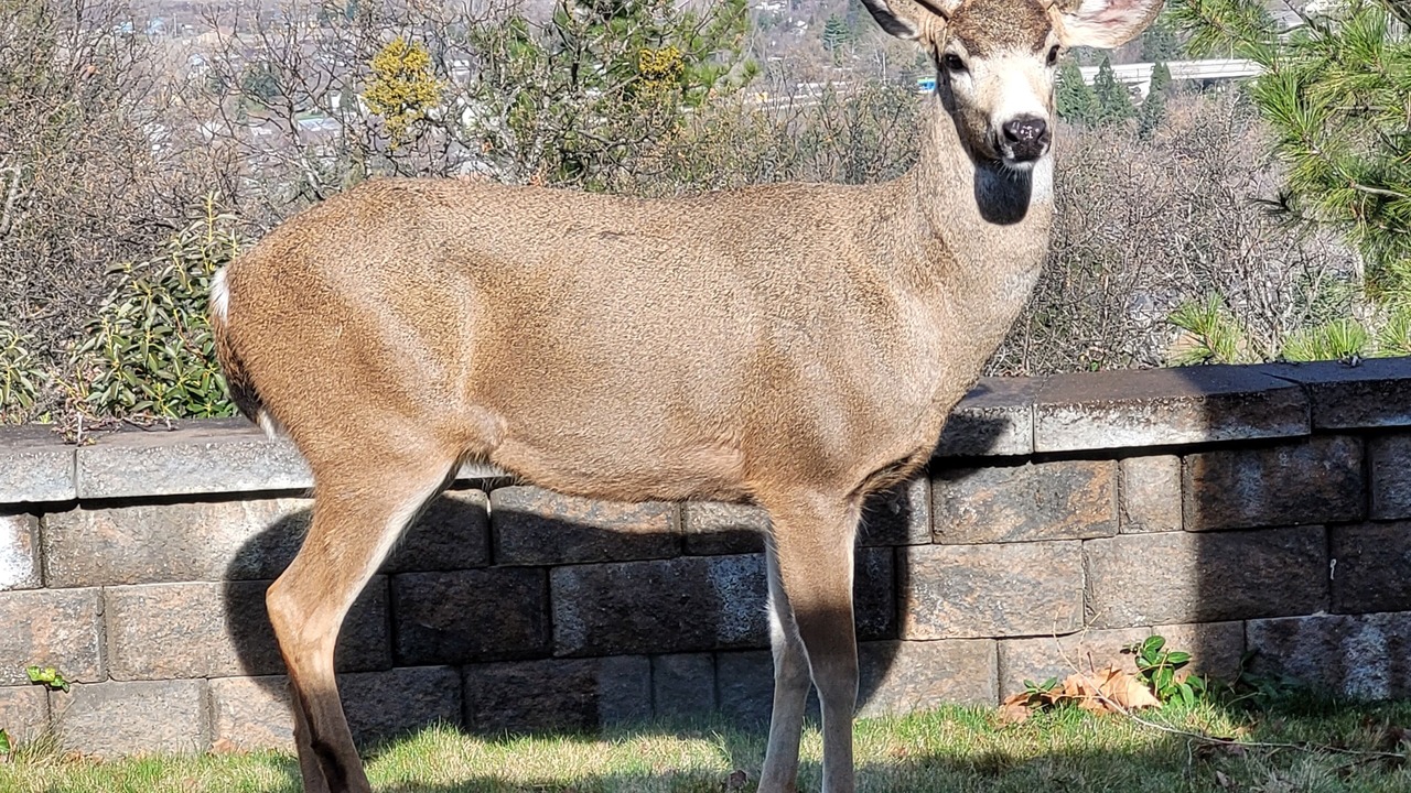 Photo of Others in Ashland