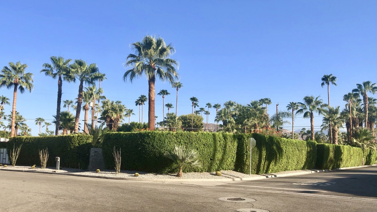 Photo of Others in Tahquitz River Estates