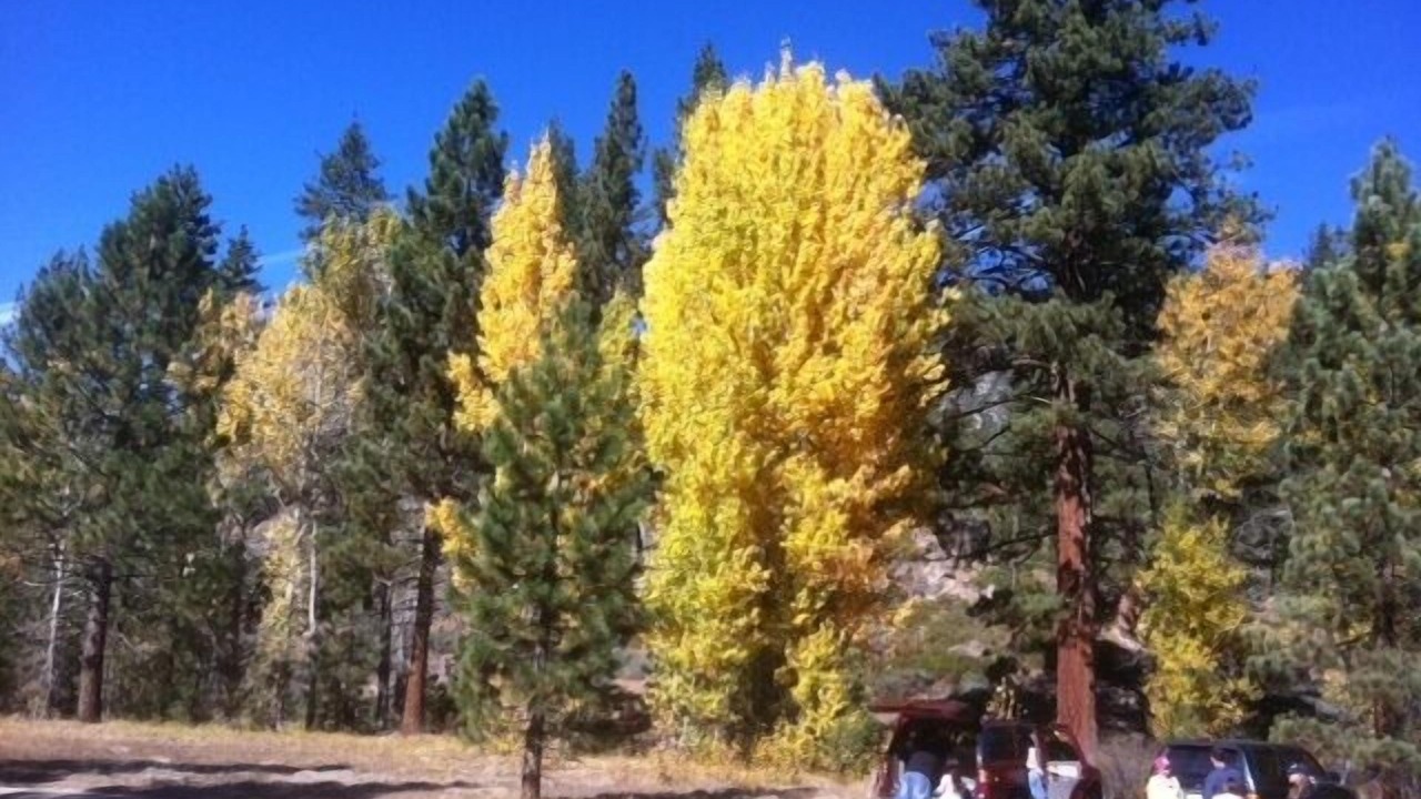 Photo of Others in Cold Springs