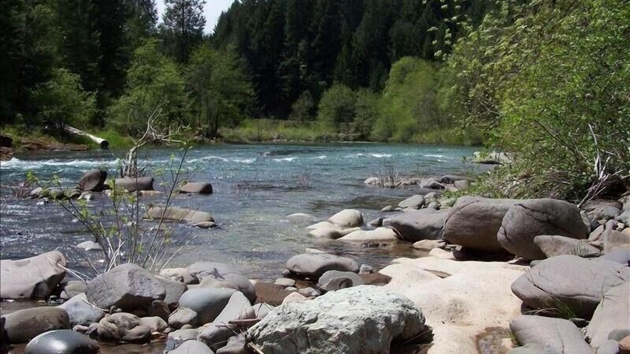 Photo of Others in Douglas County