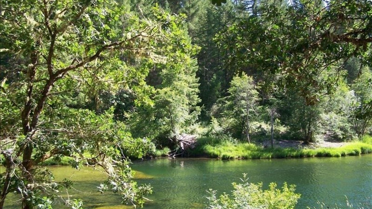 Photo of Others in Douglas County