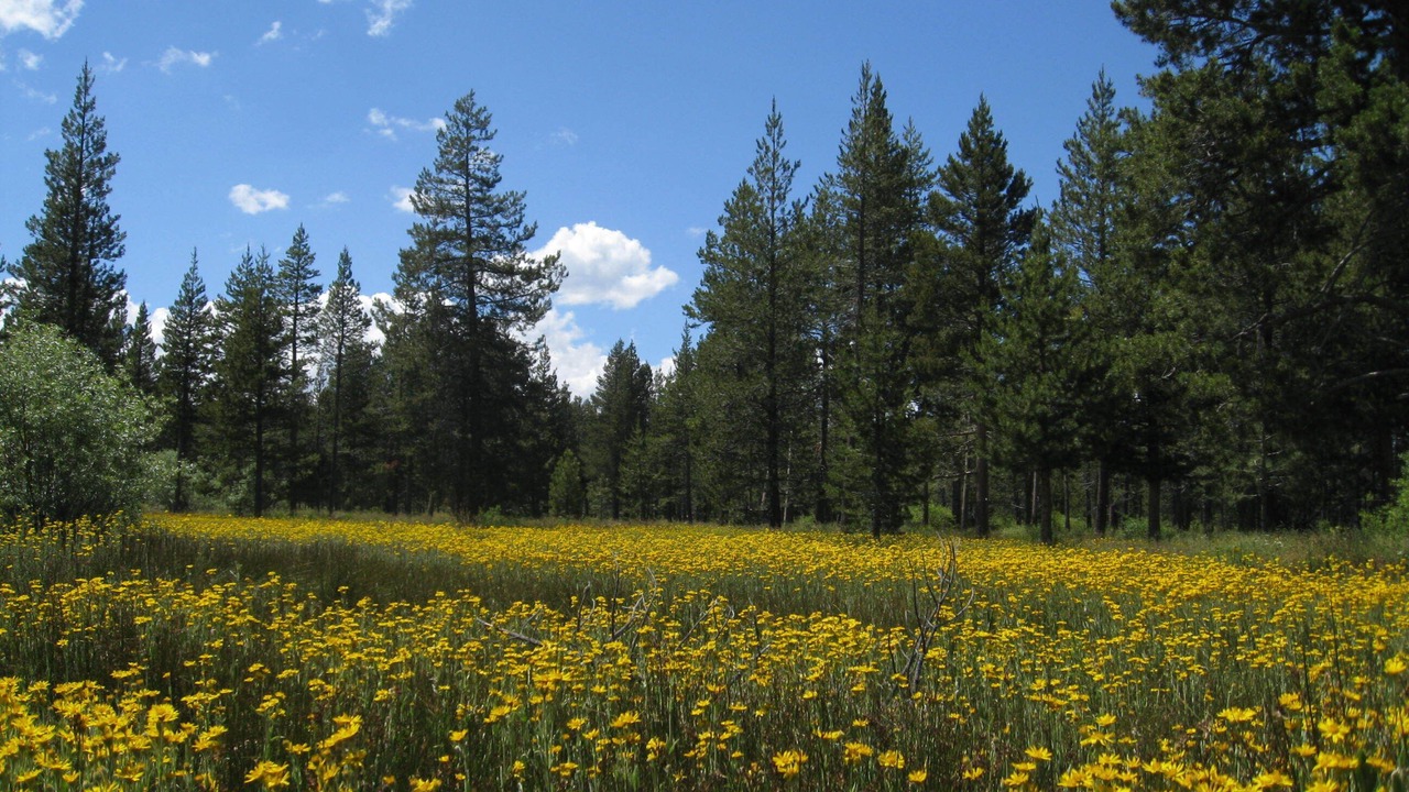 Photo of Outdoor in Rancho Bijou