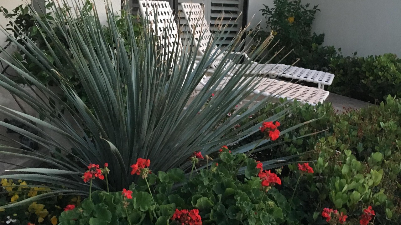 Photo of Others in La Quinta