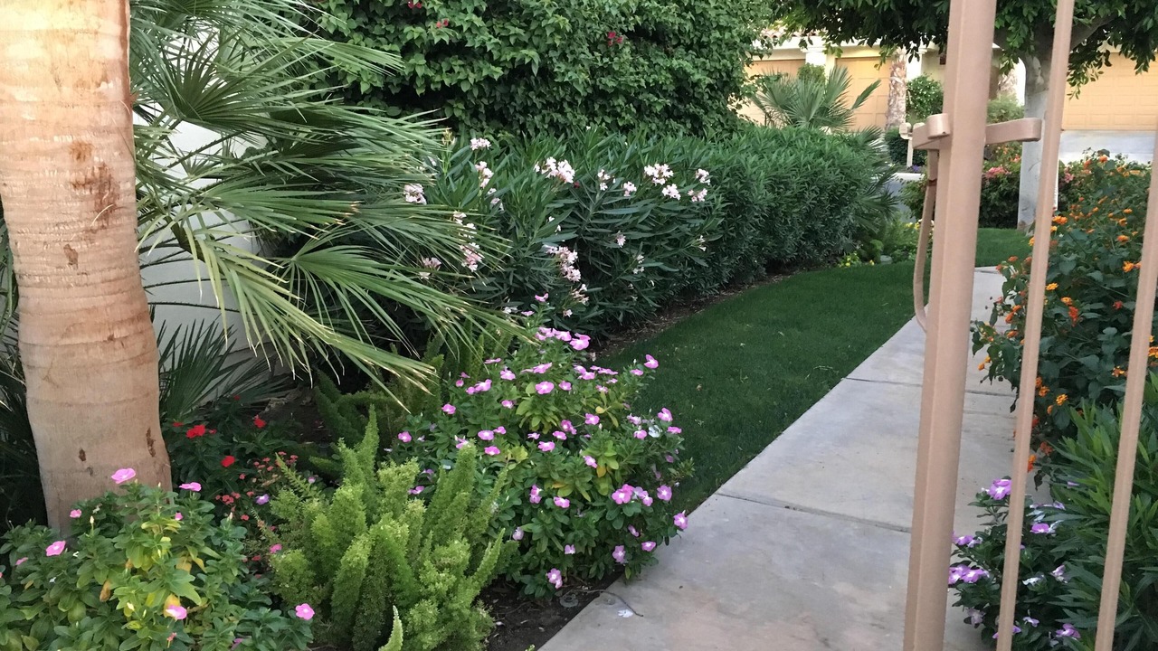 Photo of Outdoor in La Quinta