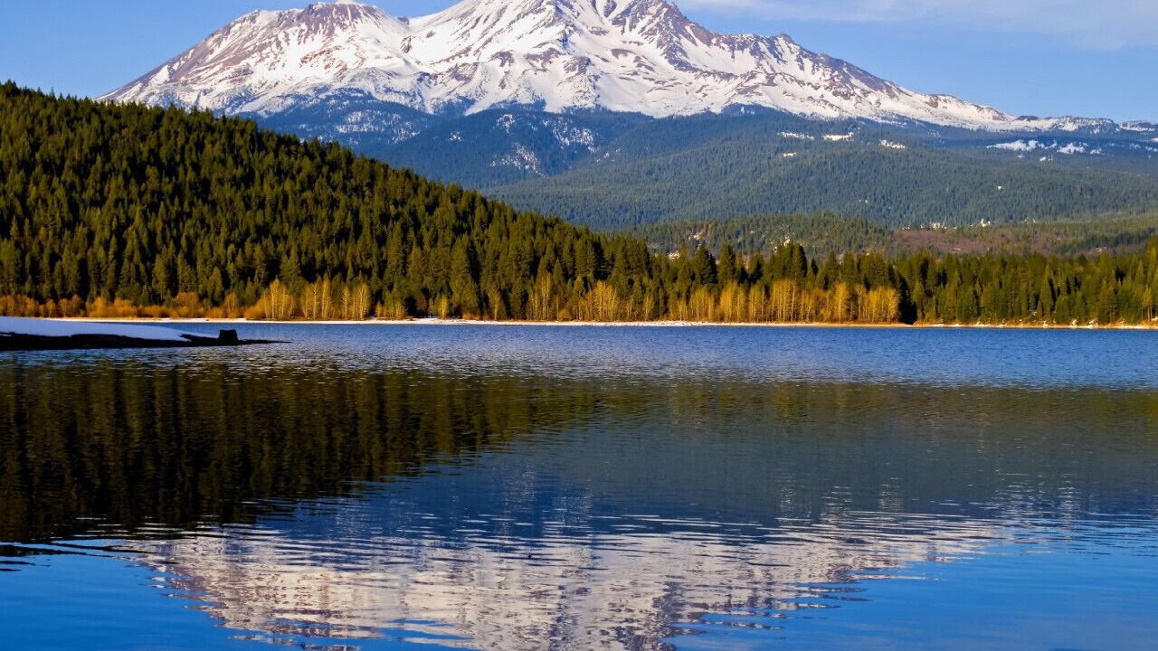 Photo of Others in McCloud