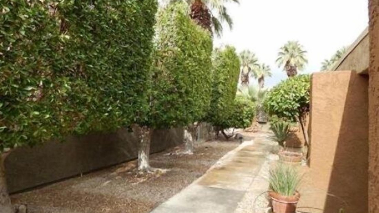 Photo of Outdoor in Palm Springs