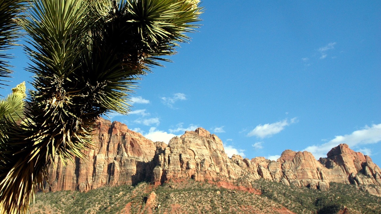 Photo of Outdoor in St. George