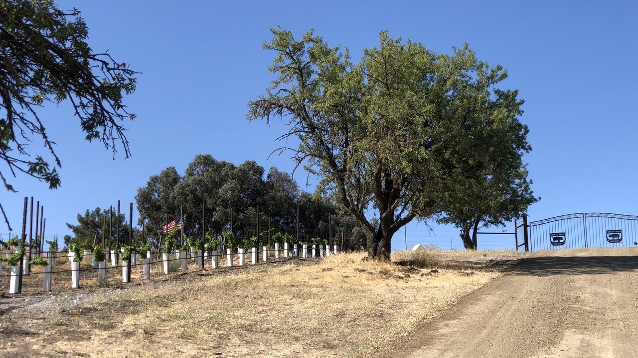 Photo of Others in Paso Robles